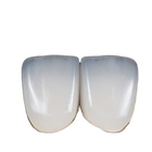 HT B40 Dental Lithium Disilicate Ceramics CAD CAM Material Lab Emax For Veener
