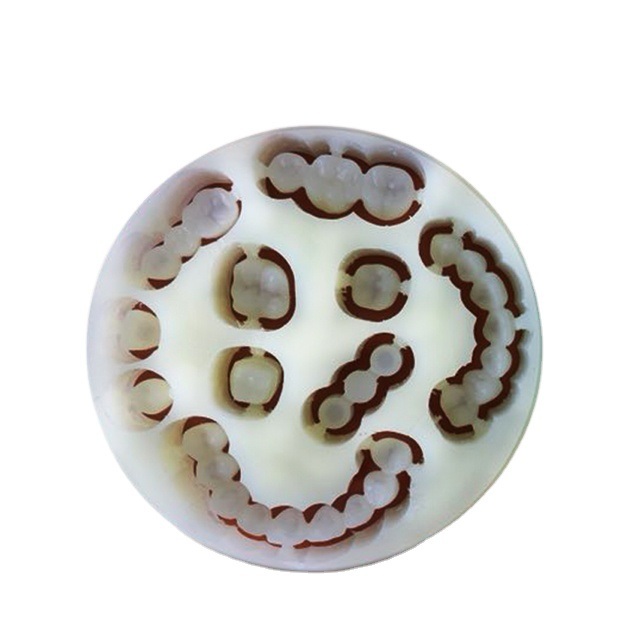 Yucera Durable Dental Monolayer PMMA for Reliable and High Quality Dental Prosthetic Manufacturing